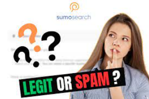 SumoSearch Albany NY: Your Guide To Local SEO Domination