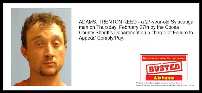Sylacauga Arrests: Latest News And Police Reports