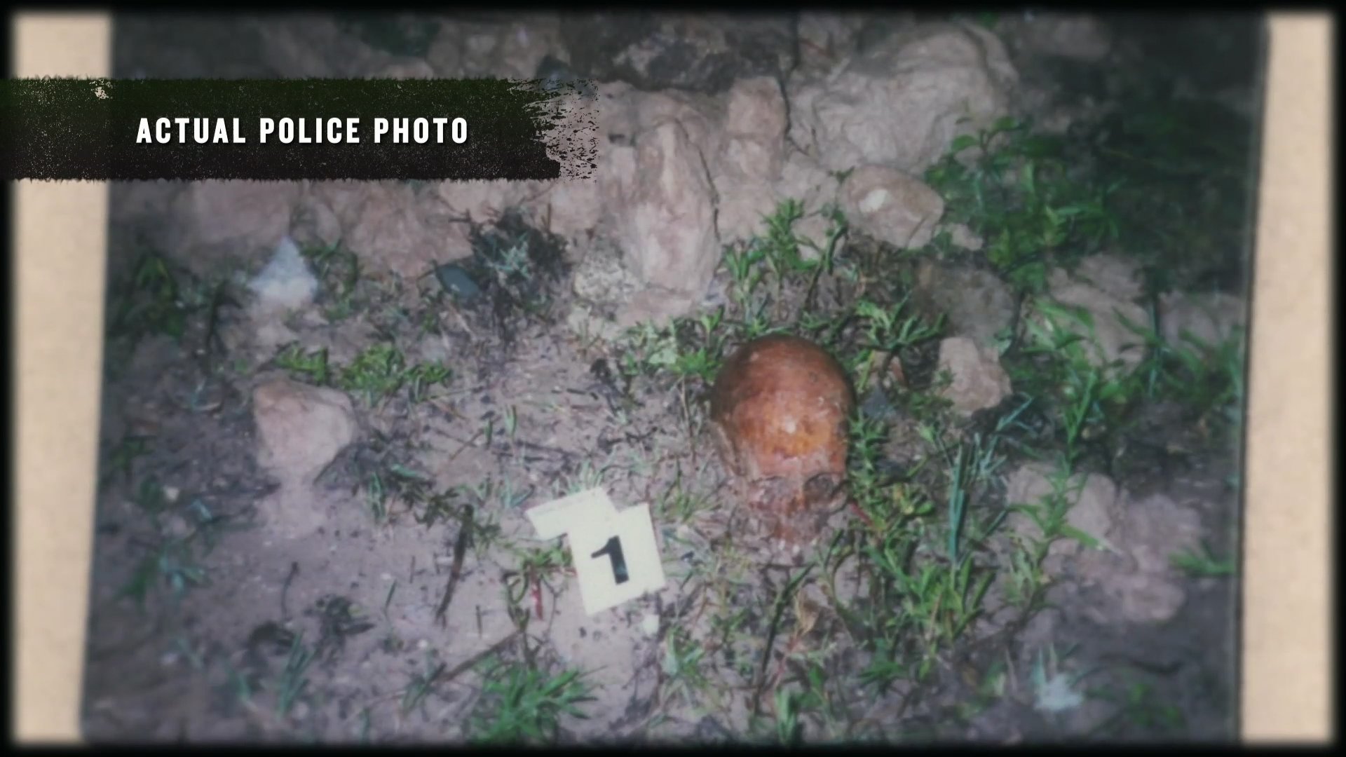 Taylor Williams Crime Scene: Unseen Photos And Investigative Details