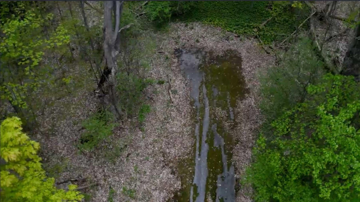 The Tragic Case Of Bianca Devins: Examining The Graphic Crime Photos And Their Impact