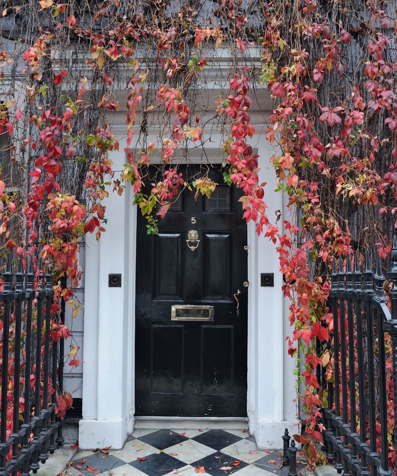 The Unexpected Delight: A Cinnamon Surprise At Your Doorstep