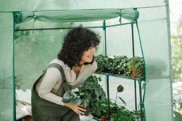 Tractor Supply Greenhouse: Understanding Their Terms Of Use