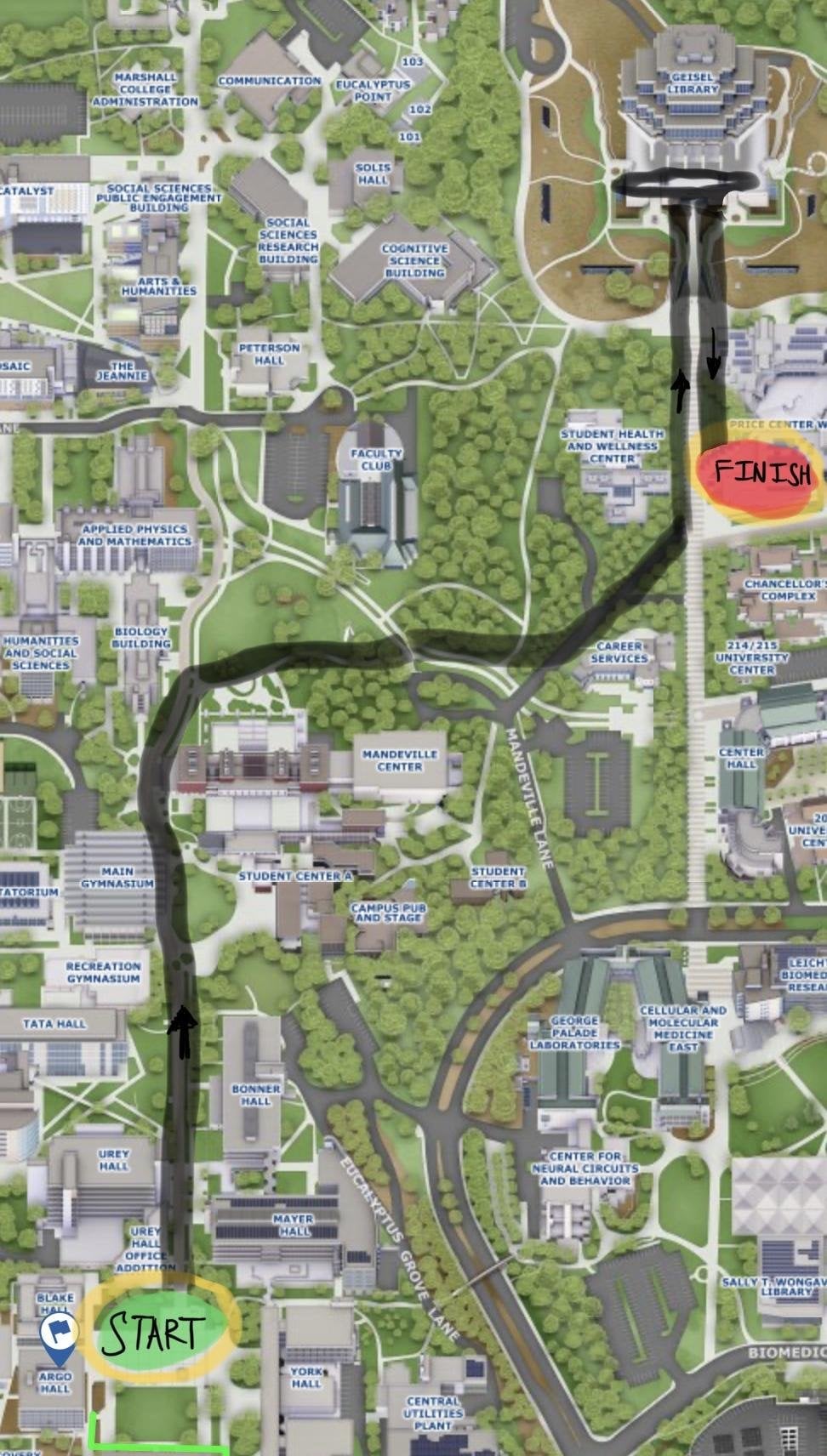 UCSD Undie Run: Everything You Need To Know Before You Go