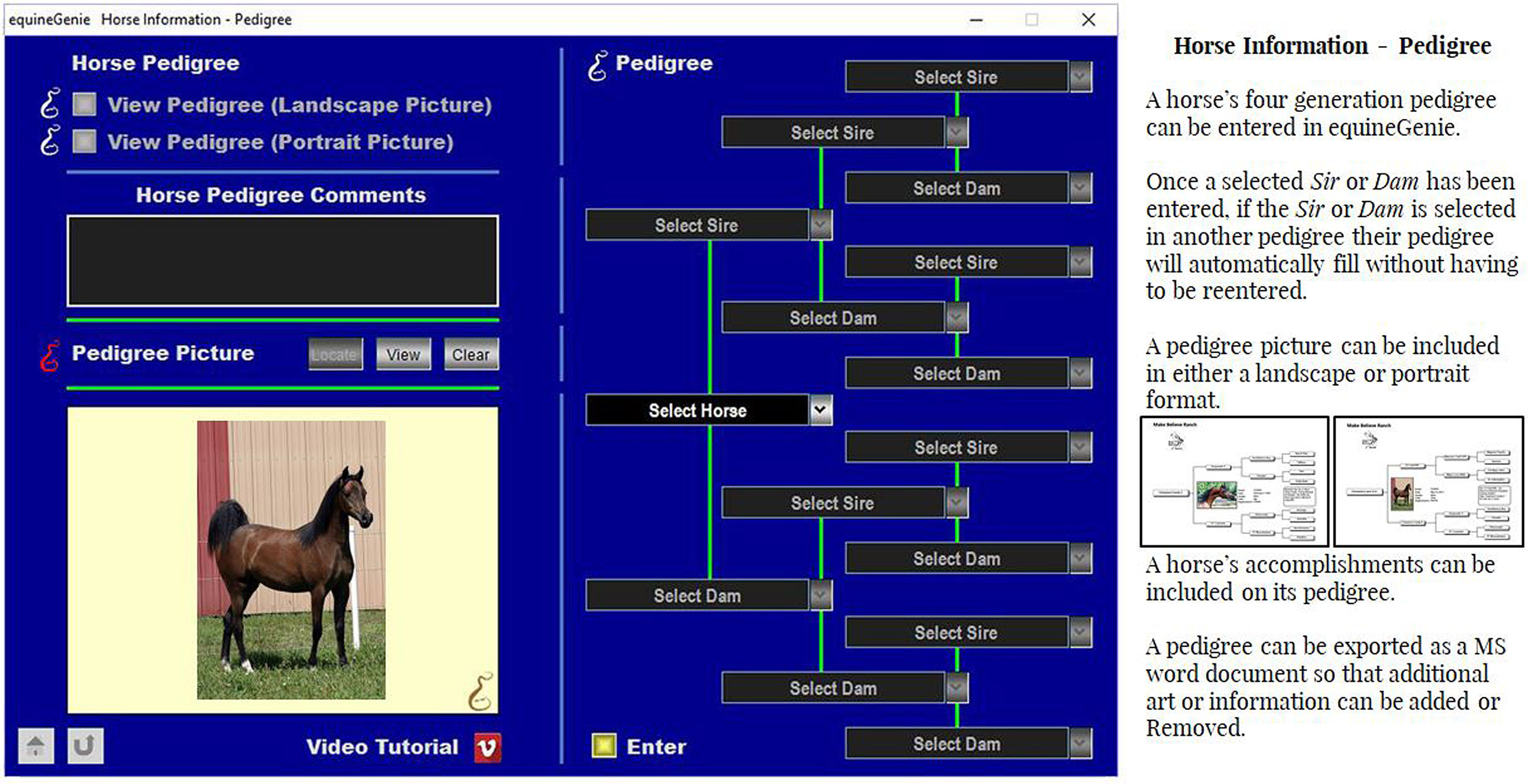 Uncovering The Secrets Behind Pedigree Horse Queries: A Comprehensive Guide