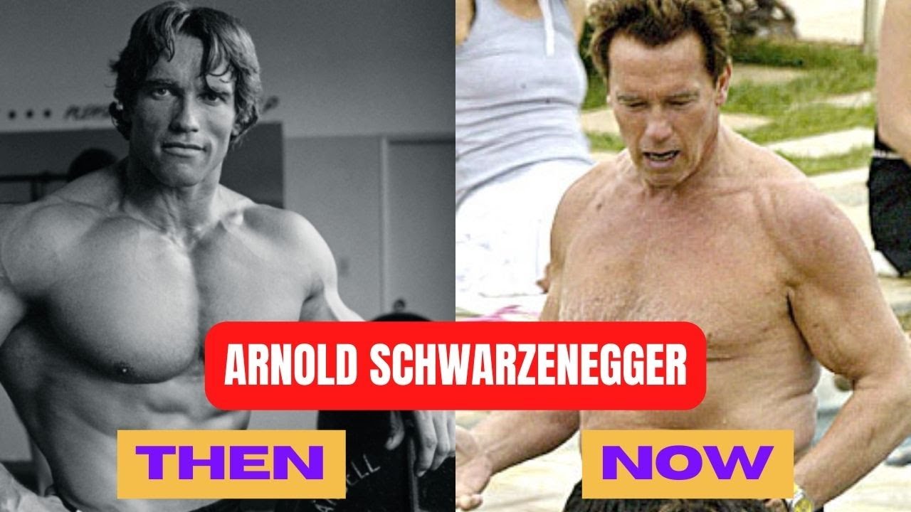 Uncovering The Story Of Have Arnold Swansinger