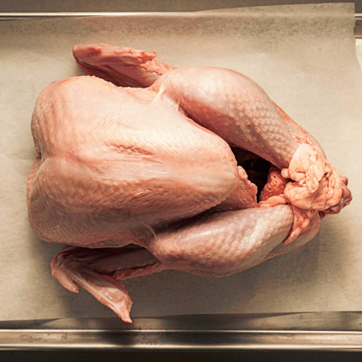 Understanding And Treating Brown Spots On Turkeys: A Comprehensive Guide