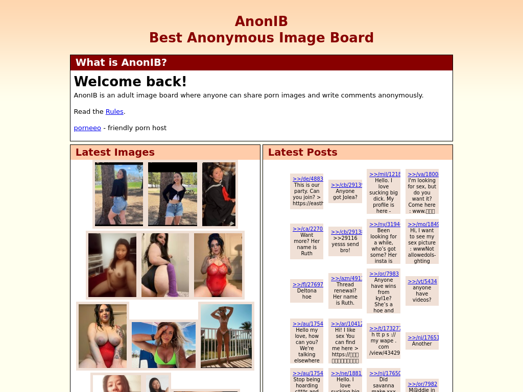 Understanding Anonib Websites: A Comprehensive Guide