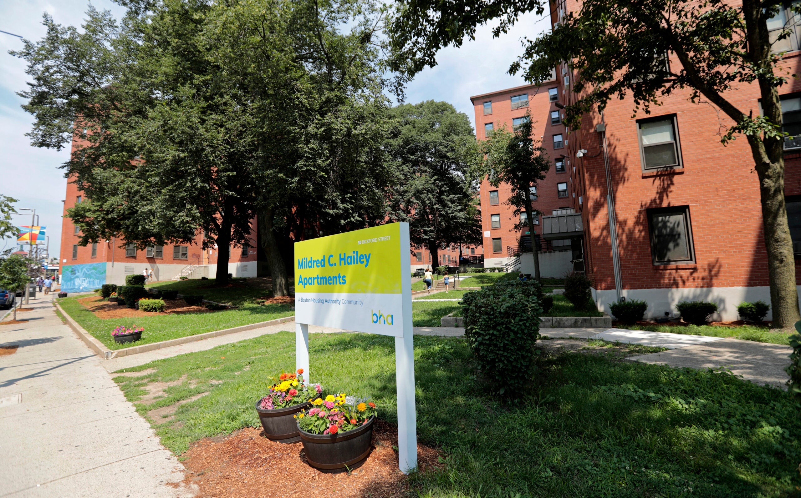 Understanding Boston's Gang Problem: A Deep Dive Into MA Gang Activity