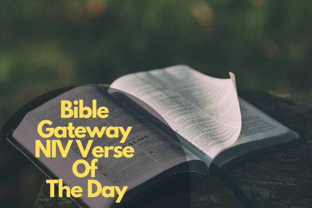 Unlocking God's Word: Your Guide To Bible Gateway NIV