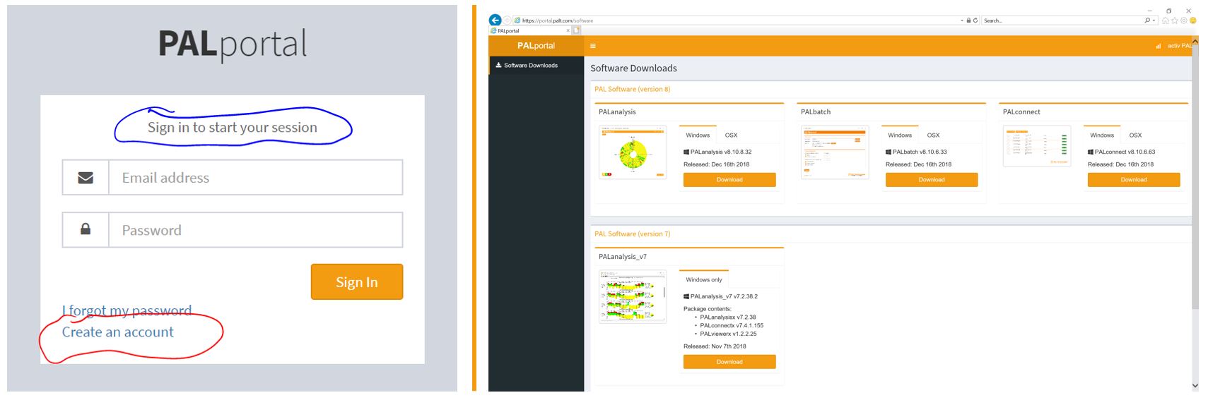 Unlocking Success: Your Guide To The PalAmerican EHub