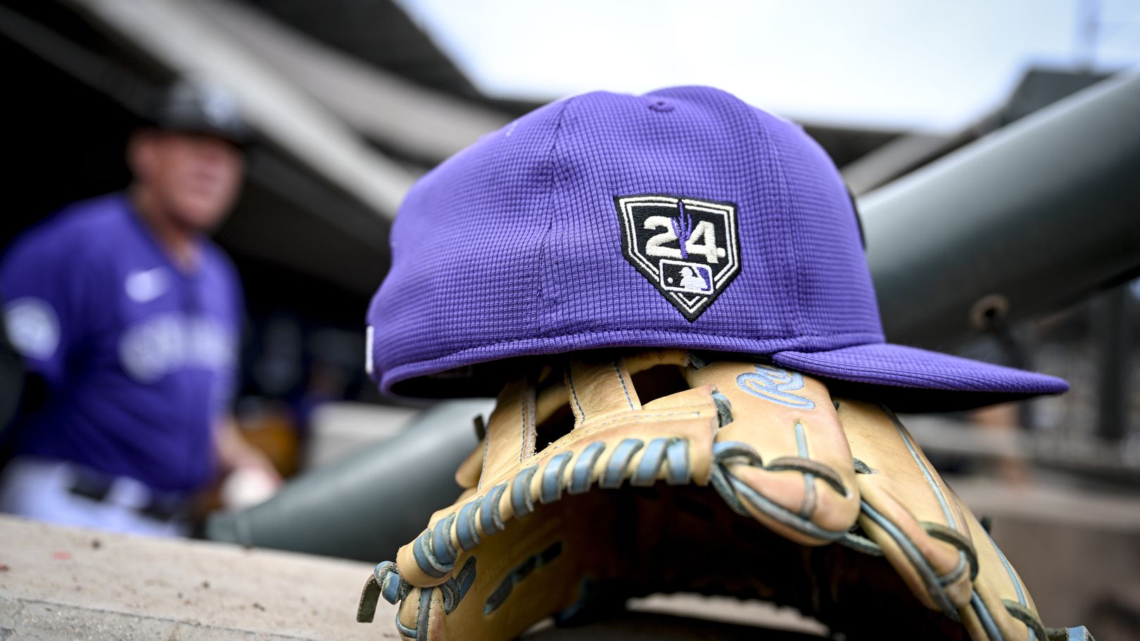Unveiling The Rockies' Purple Row: A Deep Dive Into Colorado's Hidden Gem