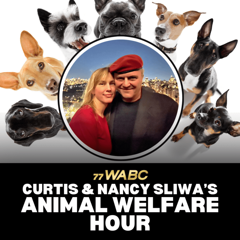 WABC 770 Podcasts: Your Guide To New York's Top Radio Shows