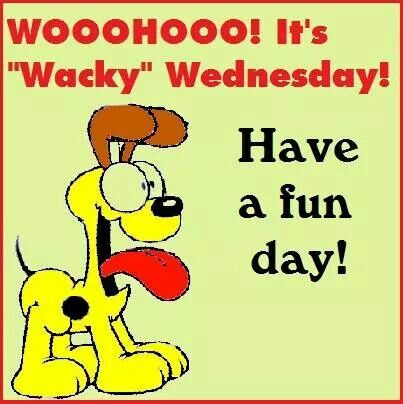 Wacky Wednesday Memes: Your Weekly Dose Of Hilarious Internet Humor