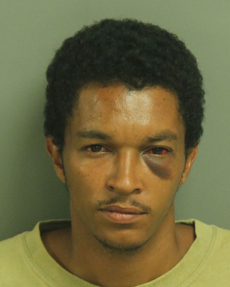 Wake County Mugshots: Your Guide To Recent Arrests And Newspaper Coverage