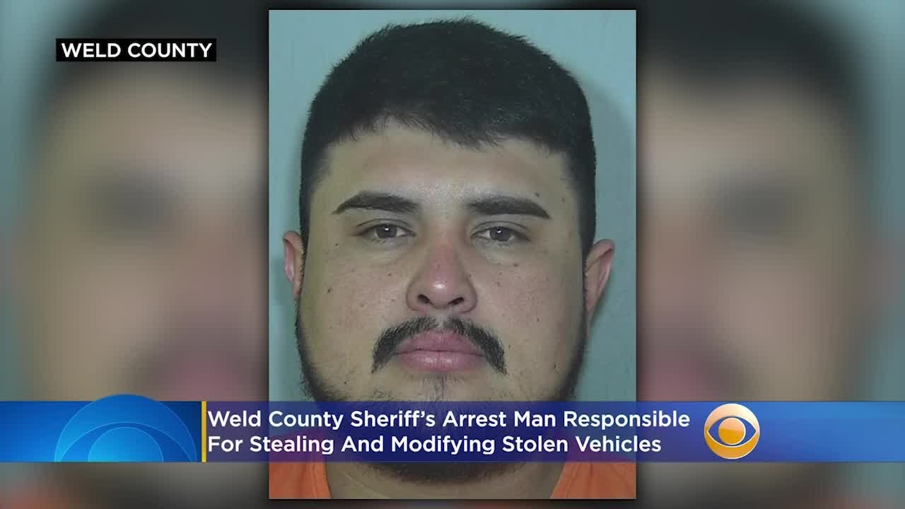 Weld County Daily Arrest Reports: Your Guide To Support And Help