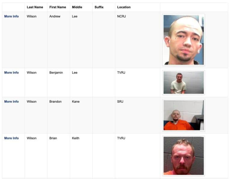 West Virginia Jail Mugshots: Your Guide To Public Records & Online Databases