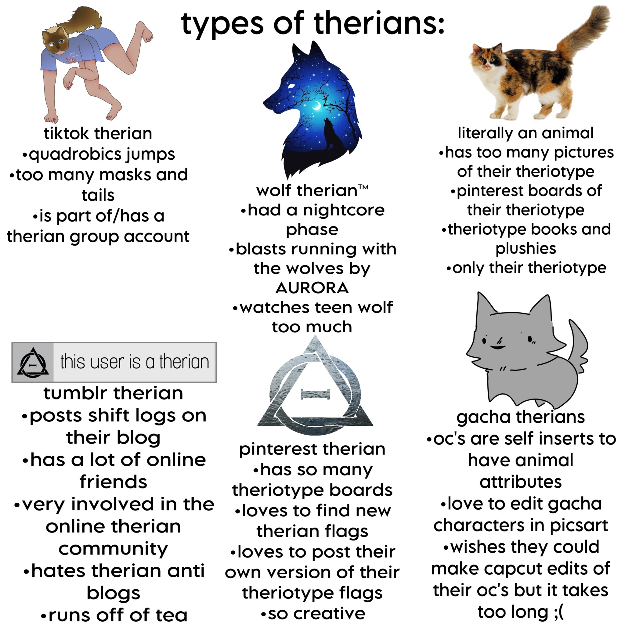 What Therianthrope Are You? A Comprehensive Guide To Discovering Your Inner Animal