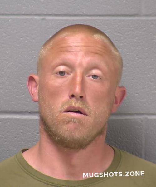 Will County Mugshots: A Comprehensive Spit Tube Category Analysis