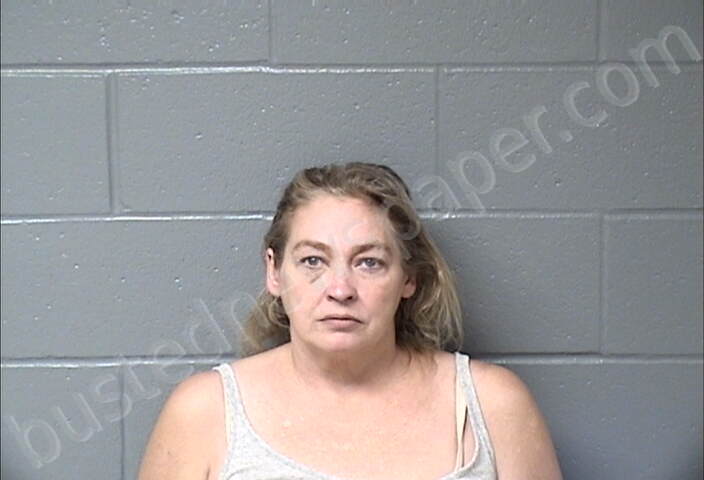 Woodford County IL Newspaper: Recent Arrests And Police Reports