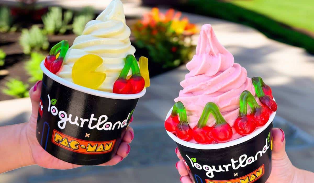 Yogurtland Employee Salaries: A Comprehensive Guide